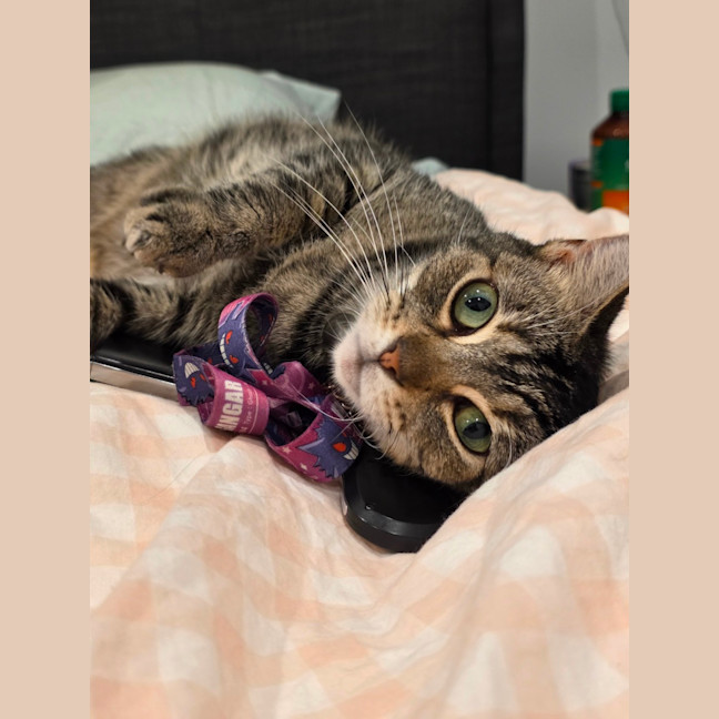 Photo of Jasmine
