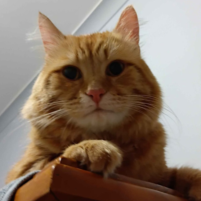 Photo of Ed