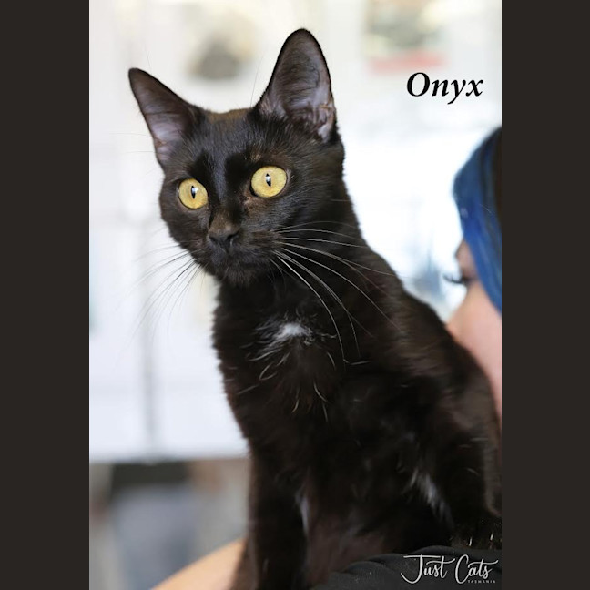Photo of Onyx