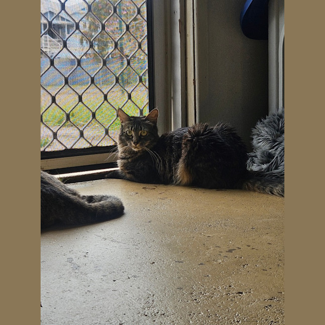 Photo of Mia