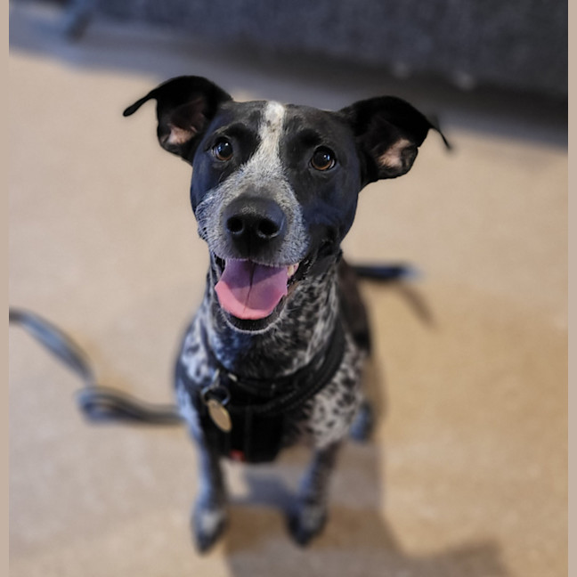Photo of Tovah