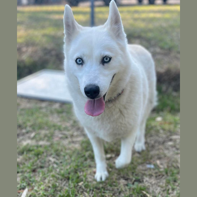 Photo of 🌻 Maya 5035 🌻