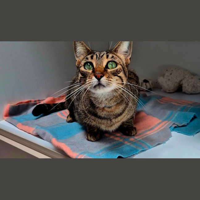 Photo of Linda (6749)