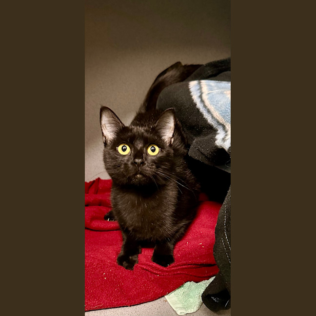 Photo of Hera