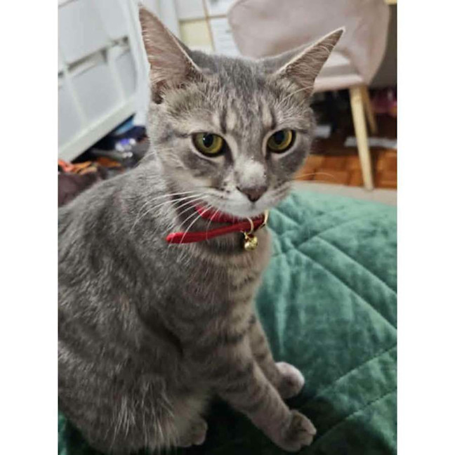 Photo of 14530   Stormy