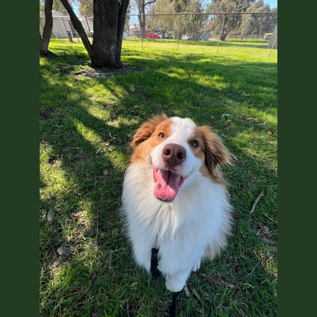 Photo of Momo