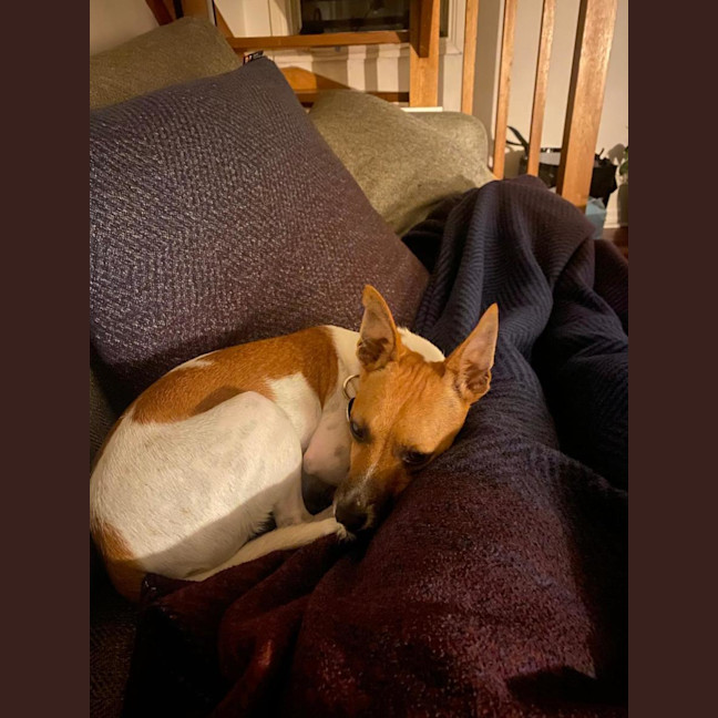 Photo of Lady Marmalade