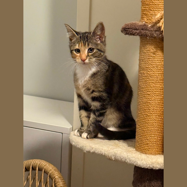 Photo of Cleo