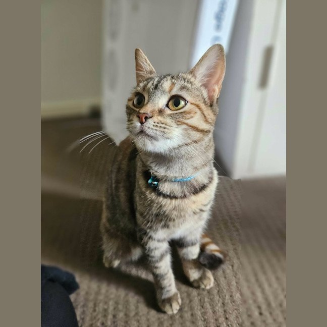 Photo of Trinity