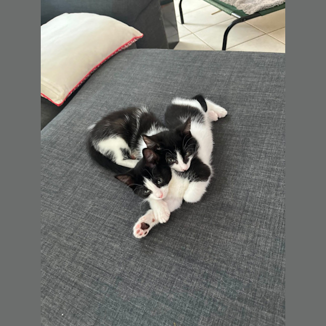 Photo of Xena And Smudge