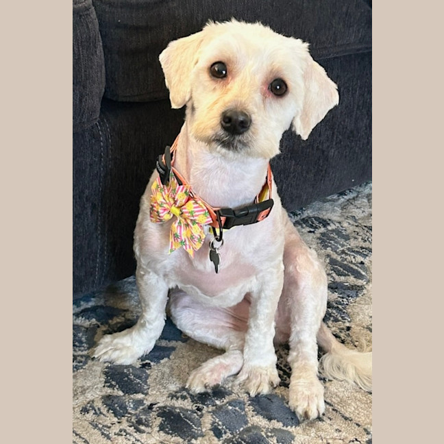 Photo of Lucy