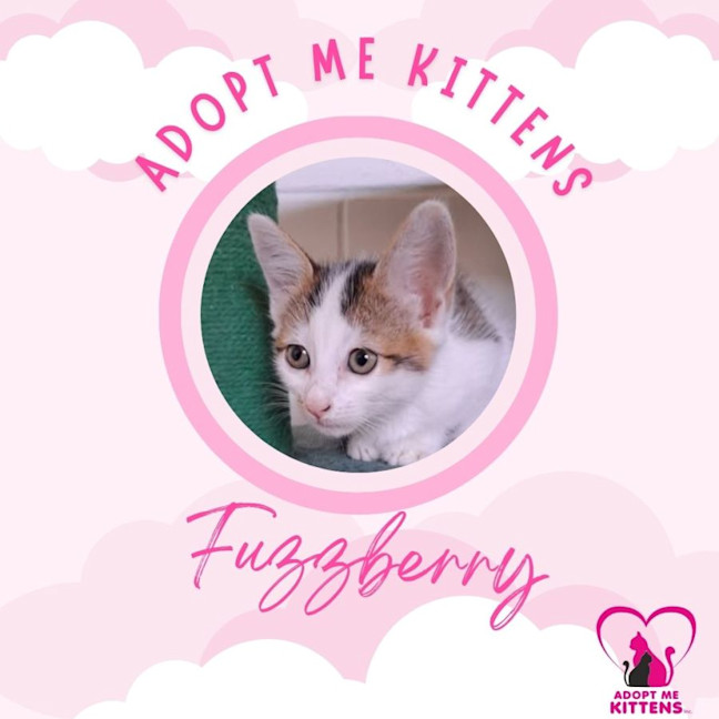 Photo of Fuzzberry