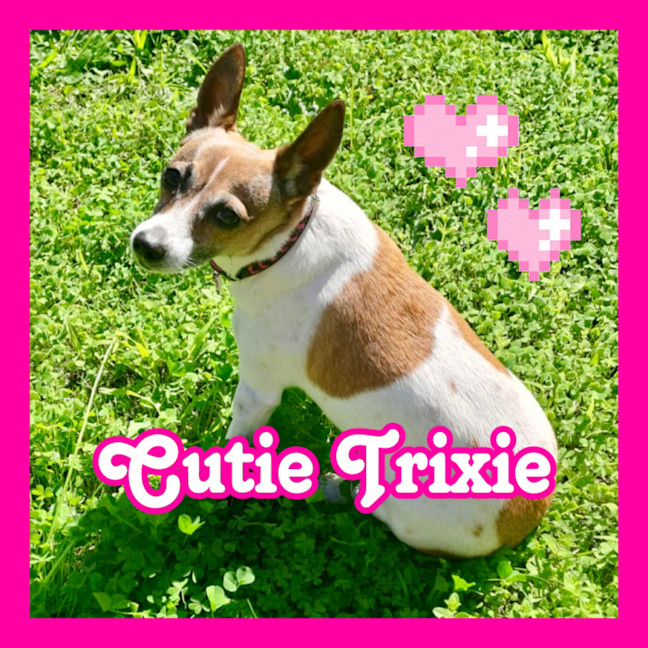 Photo of Cutie Trixie 