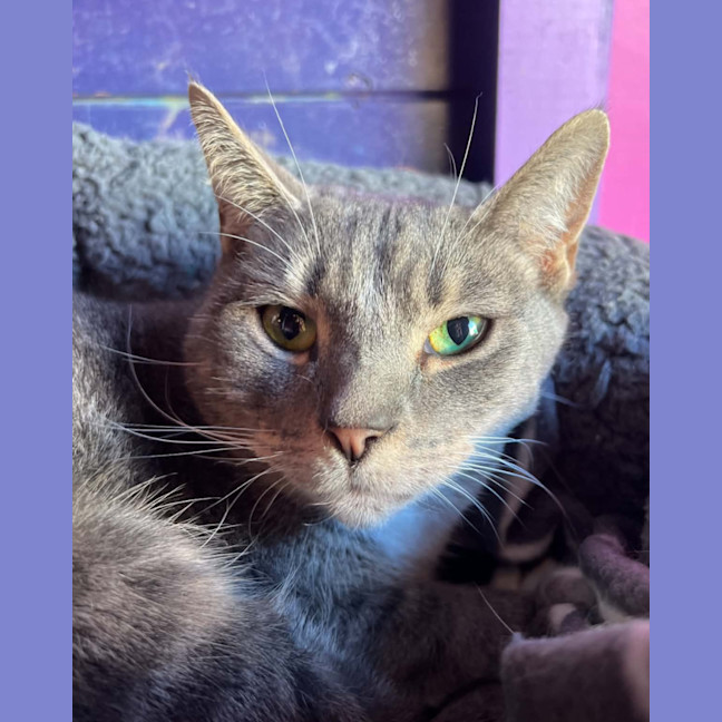 Photo of Button