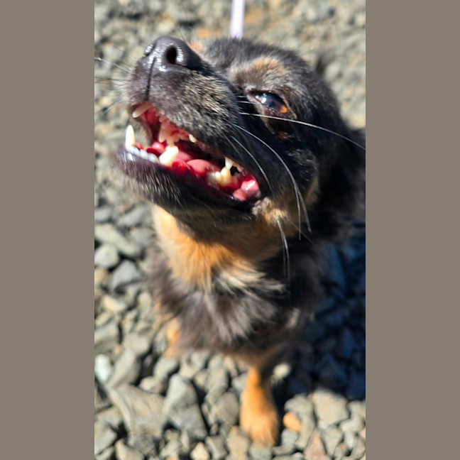 Photo of Evie