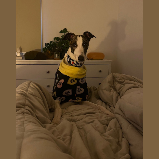 Photo of Betty