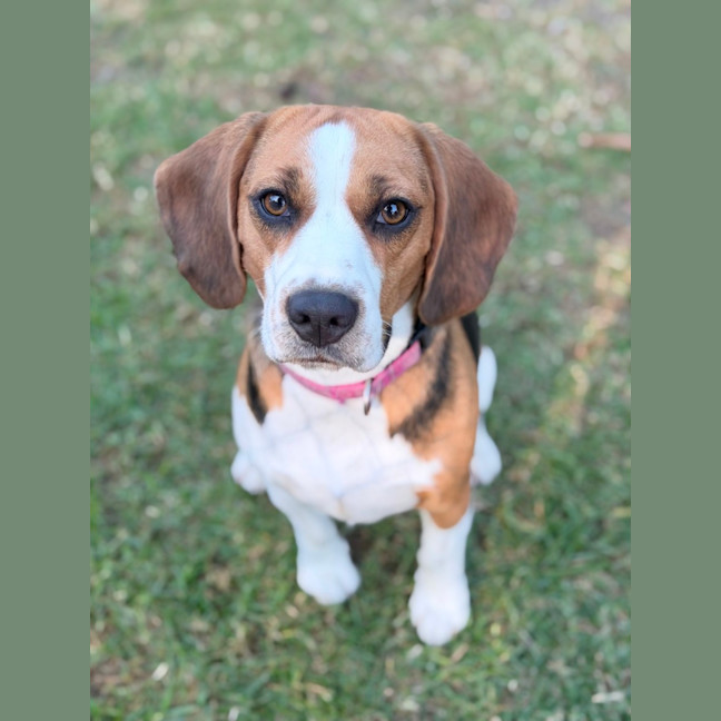 Photo of Kiki