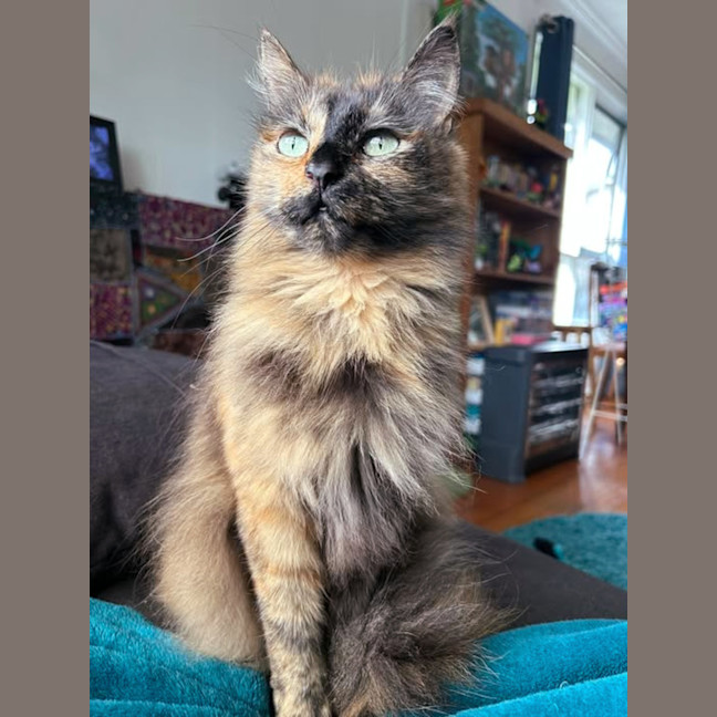 Photo of 🔮Pandora🔮