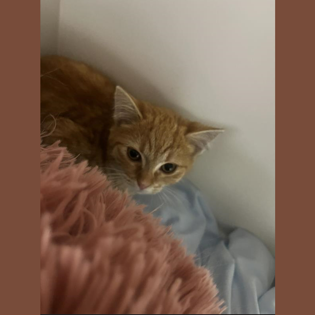 Photo of Sally