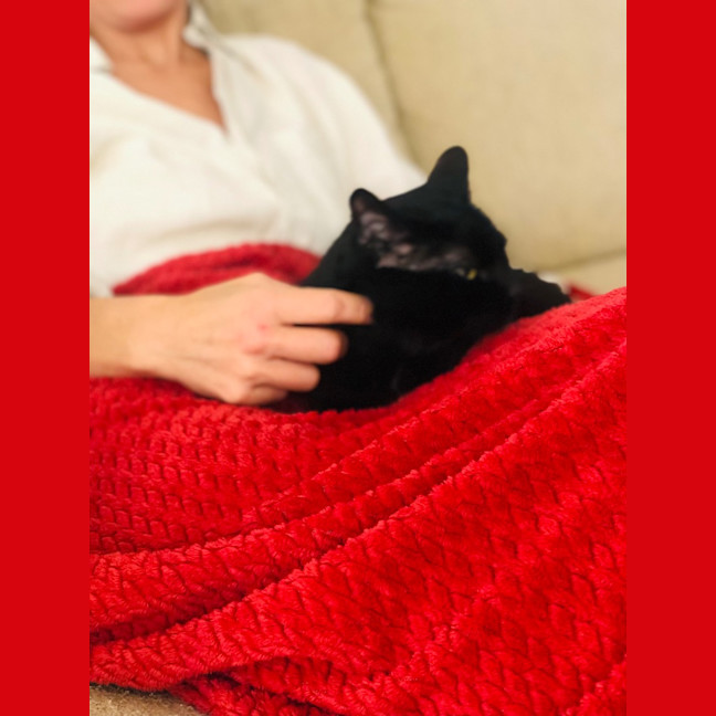 Photo of Puss