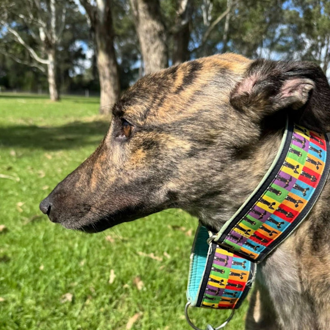 Photo of Mortimer Boris