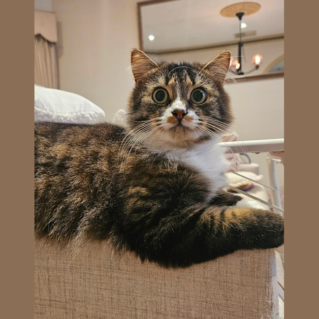 Photo of Princy