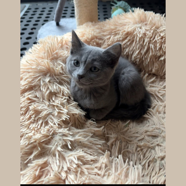 Photo of Ruby ♥️♥️♥️♥️♥️