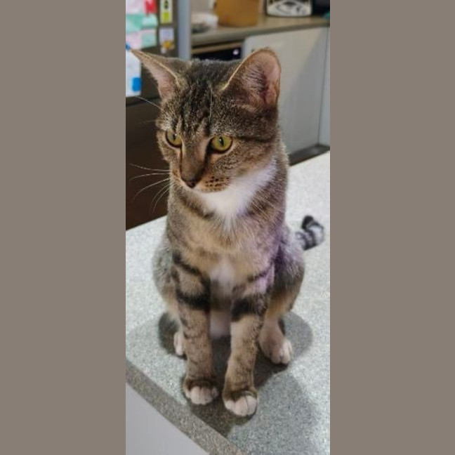 Photo of Sally