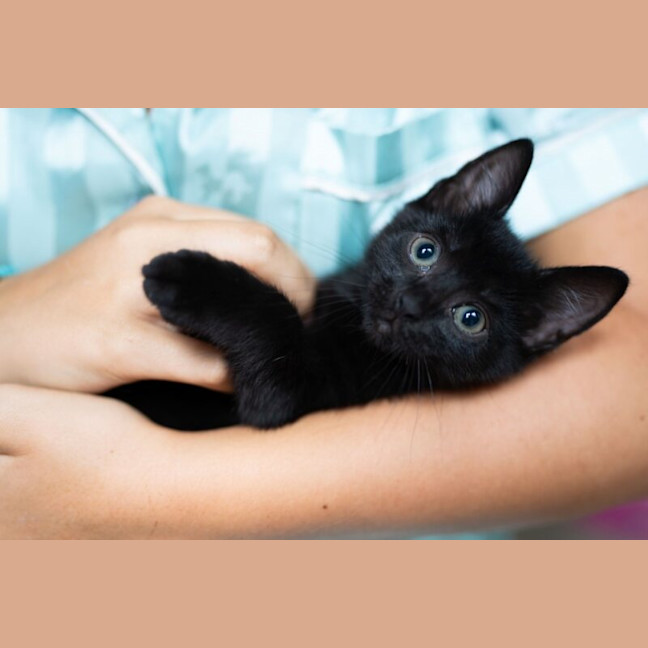 Photo of Princess