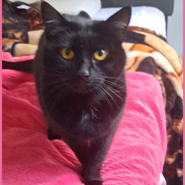 Photo of Molly