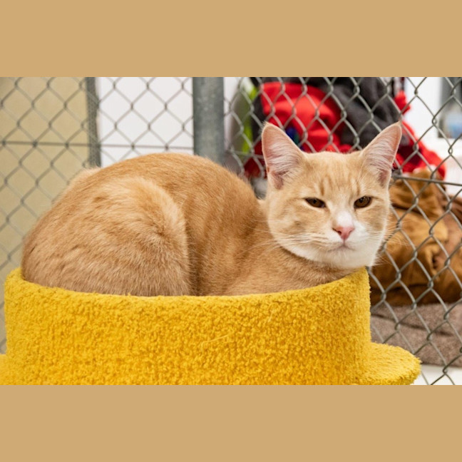 Photo of Luca Quinnell