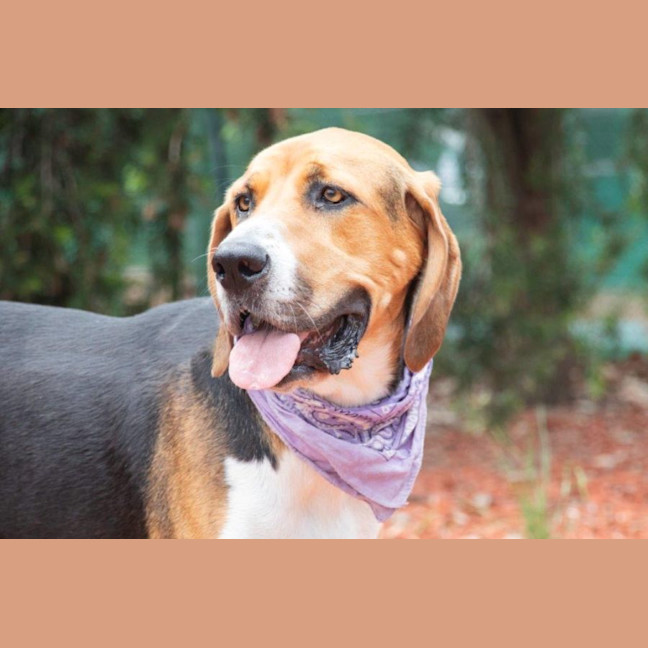 Photo of Lola Wilberforce