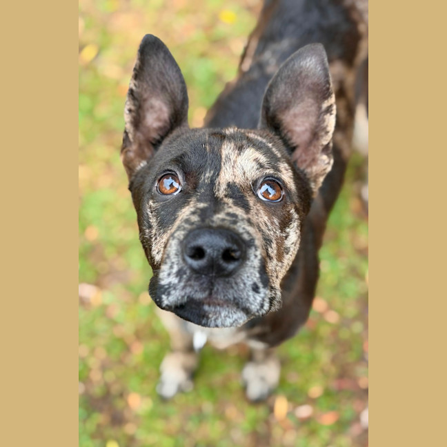 Photo of Hattie