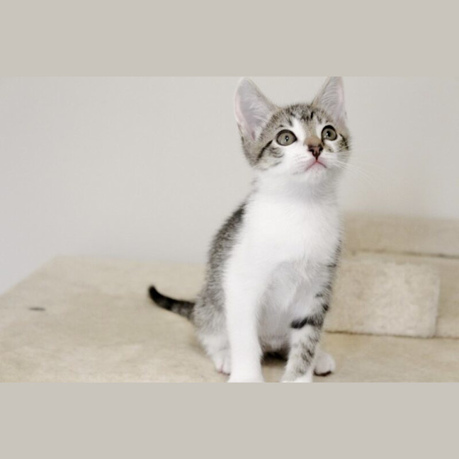 Photo of Kira