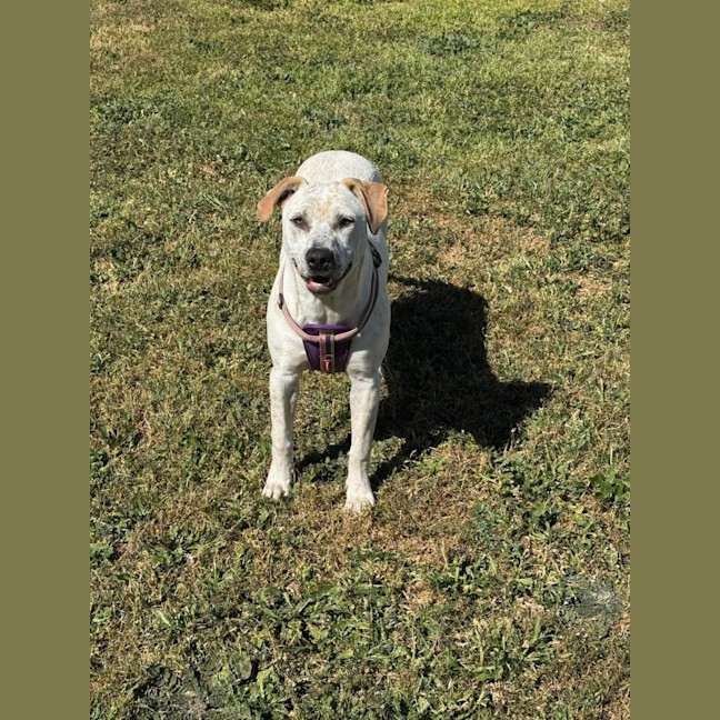Photo of Luna