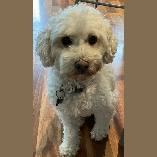 Photo of Billy