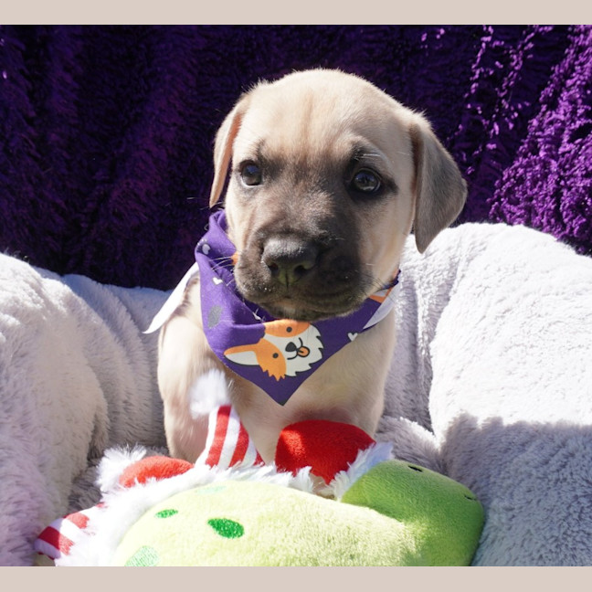 Photo of Vinnie