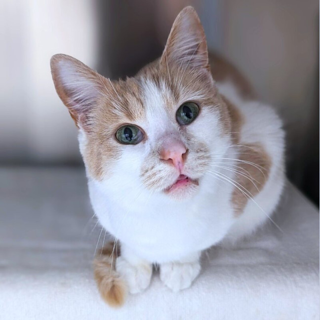 Photo of Elliot