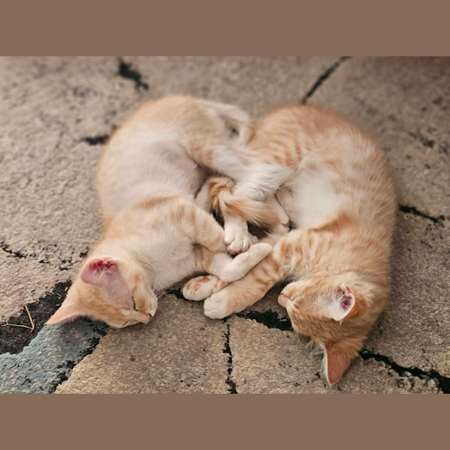 Photo of Betty And Ernie