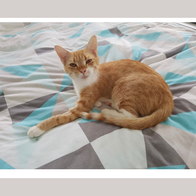 Photo of Cleopatra