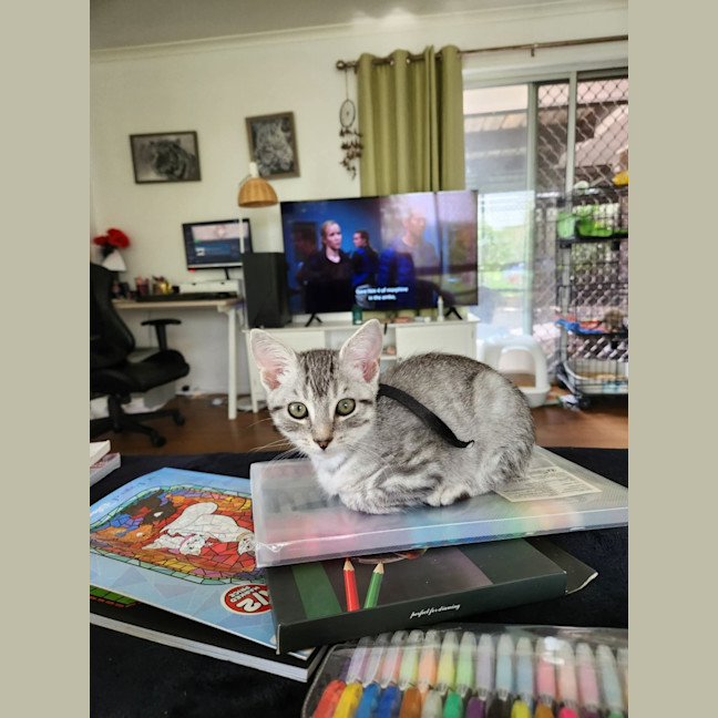 Photo of Jasper