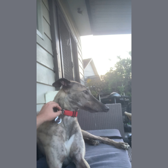 Photo of Monty