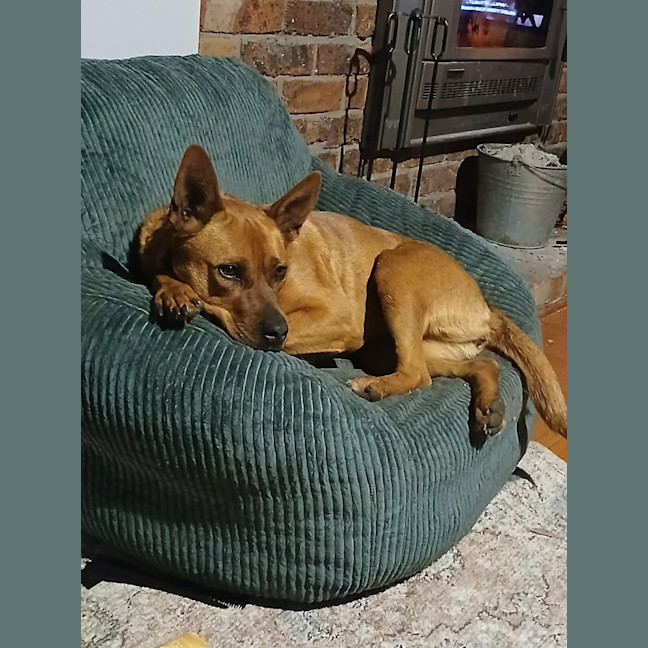 Photo of Twix 