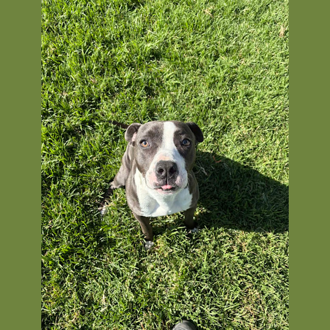 Photo of Zena