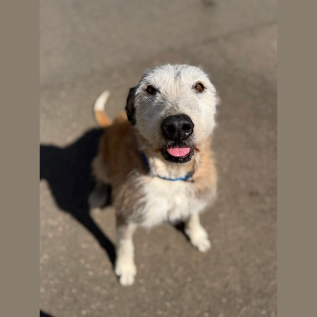 Photo of Molly