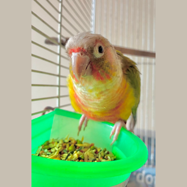 Photo of Marty