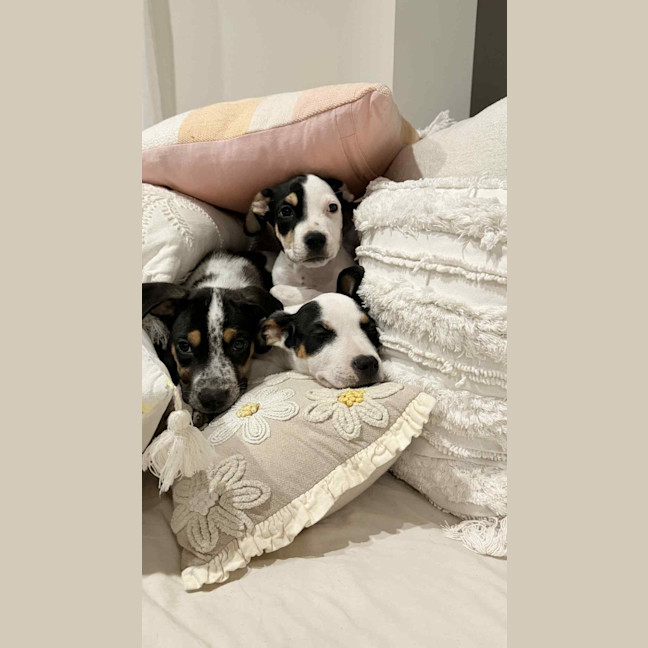 Photo of Esmae (P14)