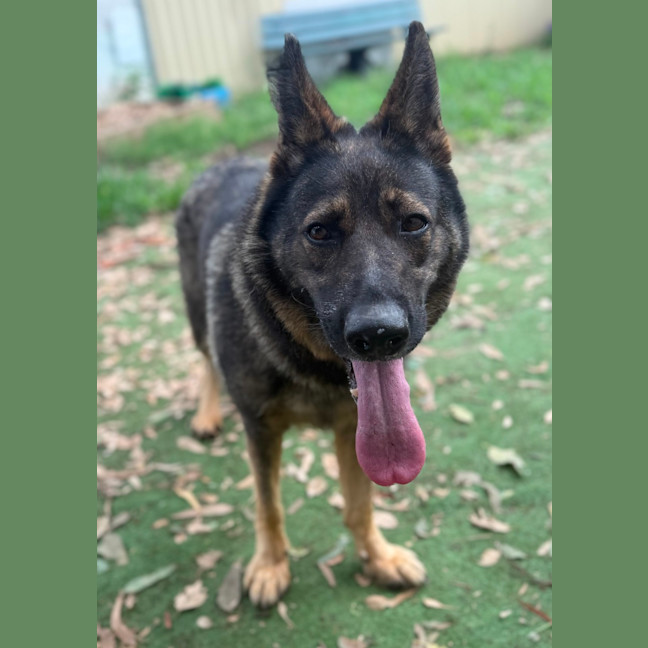 Photo of Sapphire