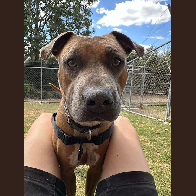 Photo of Turbo