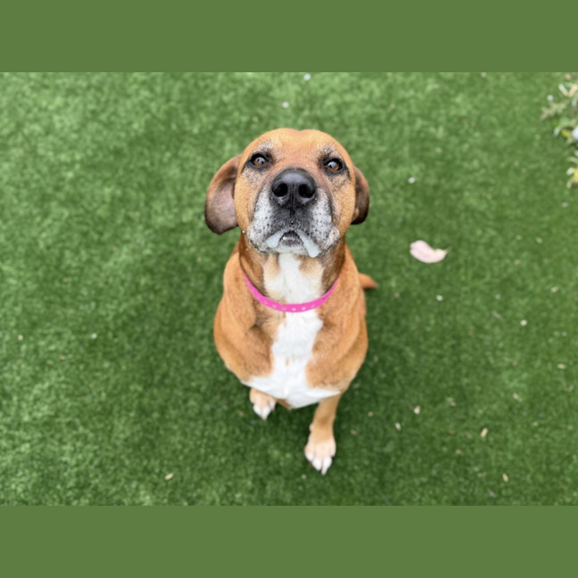 Photo of Missy Imp 1745